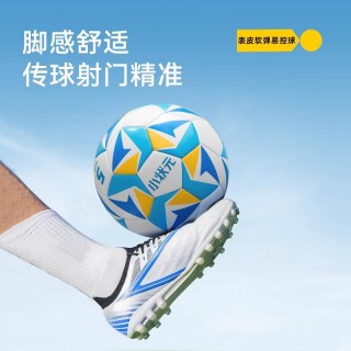 四号足球球(四号足球球长什么样)