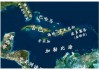 04美国vs波多黎各(04年美国输波多黎各)