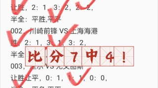 竞彩足球比分新浪(竞彩足球比分即时比分新浪)