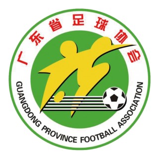 足球协会方案(足球协会策划书)