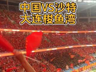 中国vs沙特战绩(中国vs沙特比分多少)