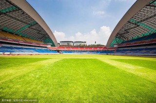 沈阳奥体足球场(沈阳奥体足球场区域图)
