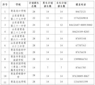 山东足球学校名单(山东足球学校招生简章2020)