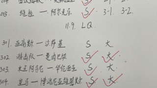 沙萨基vs(沙萨基vs博洛尼亚)