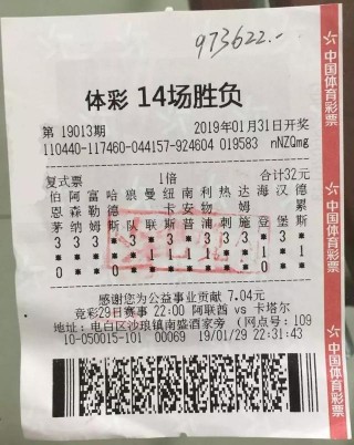 足球任选9场玩法(足球任选9玩法中310是什么意思)