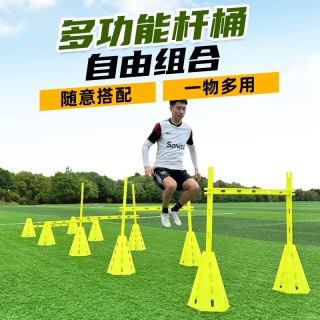 足球篮球收入(足球篮球收入高吗)
