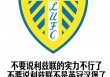 利兹VS米堡(利兹联战绩聚胜顽球汇)