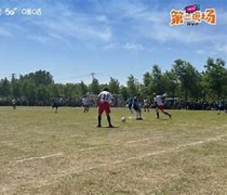 大庆村足球乐园(大庆市足球特色学校)