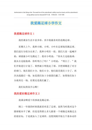 小学生足球感言(小学生足球联赛感想)