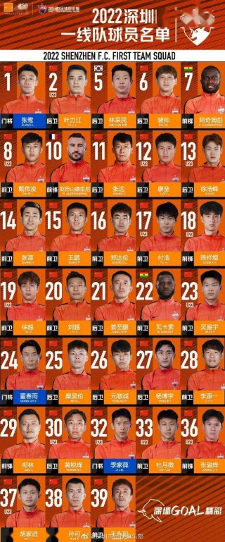中国足球专业球员排名(2024年中国足球队员名单最新)