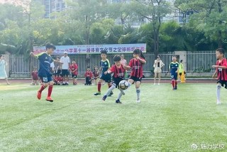 郴州特色足球学校排名(郴州特色足球学校排名第几)
