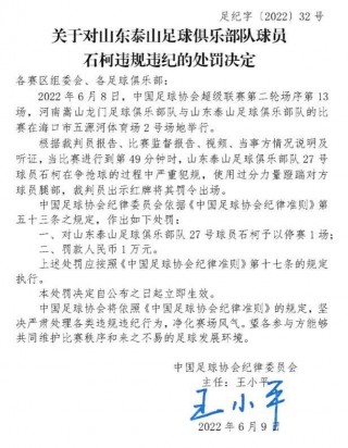 足球裁判报告(足球裁判报告表)