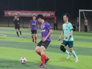 龙岗足球群(龙岗足球学校最新)