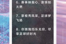 爱足球寄语(爱足球励志话语)