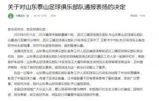 表扬足球(表扬足球队员经典语录)
