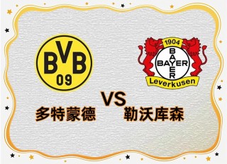 德甲汉堡vs多特蒙德(汉堡vs德累斯顿2021)