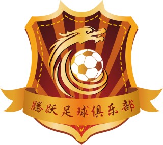 重庆足球协会官网(重庆足球协会官网 *** )