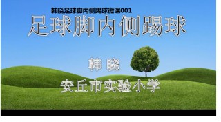 介绍足球的视频(介绍足球的短句子)