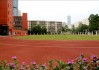 南油小学足球(南新小学足球队女)