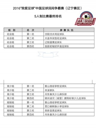 2016我爱足球(我爱足球征文一等奖)