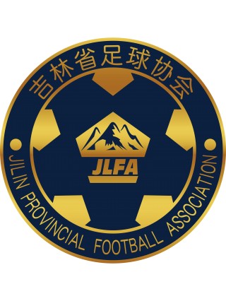 海南省足球协会(海南省足球协会主任黄朝晖)