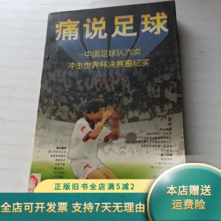 说足球(爱你我装的小说足球)