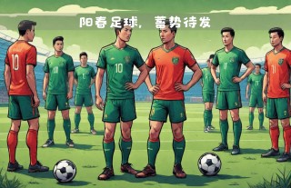 新年关于足球(新年关于足球的手抄报)