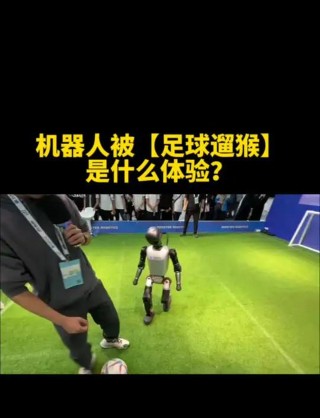 足球溜猴(足球溜猴儿的游戏规则)