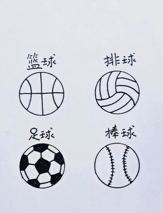 排球足球(排球足球篮球)