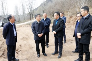 足球张利锋(张力足球教练)