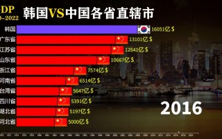 中国vs韩国的概况(中国vs韩国比赛结果)