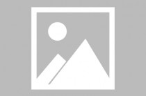 山东足球学校(山东足球学校学费多少)