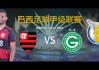 戈伊亚斯vs(戈伊亚斯vs圣保罗比分预测)