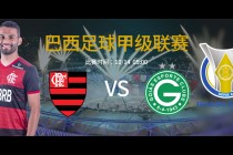 戈伊亚斯vs(戈伊亚斯vs圣保罗比分预测)
