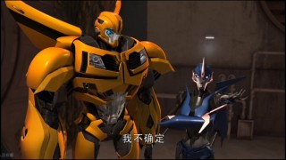 新奥尔良vs黄蜂(新奥尔良黄蜂是鹈鹕还是黄蜂)