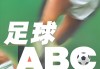 北京足球规划(北京专业足球场进度)