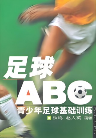 北京足球规划(北京专业足球场进度)