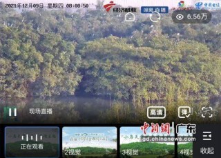 天堂VS直播(天堂与地狱视频直播)