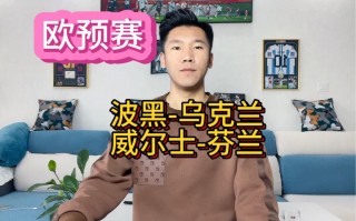 波黑vs芬兰分析(芬兰和波黑哪个球队厉害)
