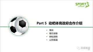 标准足球多少亩(正常足球场多少亩)
