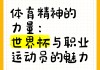 世界杯足球精神(世界杯足球知识科普)