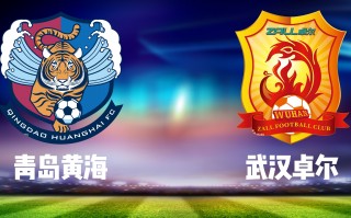 卓尔vs青岛(卓尔vs青岛黄海主裁判)