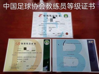 足球教练d证(足球教练d证怎么考)
