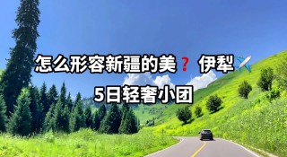 新疆古城vs浙江(浙江vs新疆腾讯网)