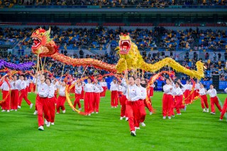 足球勿(足球勿忘我)