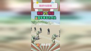 中国vs朝鲜12.16(中国VS朝鲜军事实力对比)