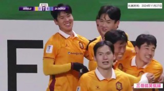 包含申花vs珀斯cctv集锦的词条