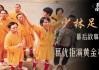 泽林足球(泽林科技集团是干嘛的)