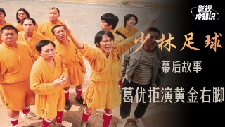 泽林足球(泽林科技集团是干嘛的)
