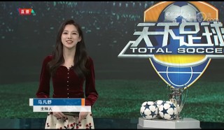 天下足球大胸女主持人(天下足球的女主持也太丑了吧)